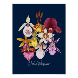 orchidee fluisteraar perfect poster
