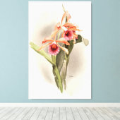 Orchidee geïllustreerd canvas afdruk (Insitu (Houten vloer))