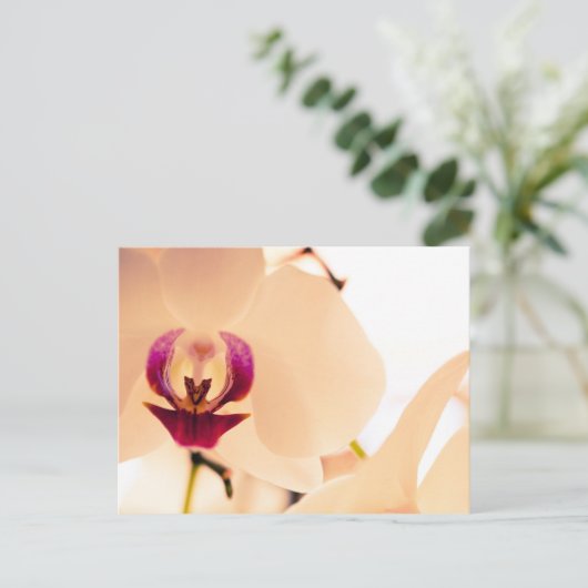 Orchidee glimlach briefkaart (Staand voorkant)