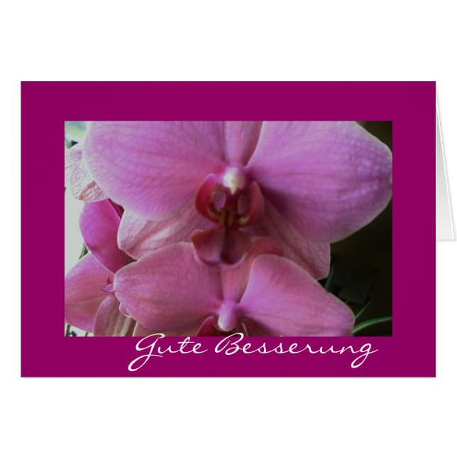Orchidee-gute besserung (Voorkant Horizontaal)