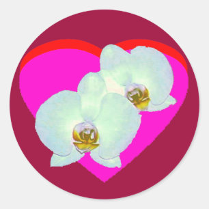 Orchidee Het MUSEUM Zazzle Gifts Zürich 2000 Ronde Sticker