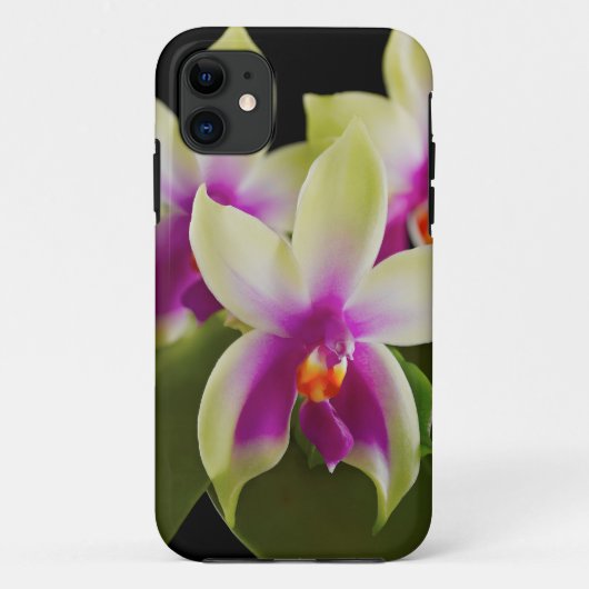 Orchidee Hoesje iPhone 5/5s (Achterkant)