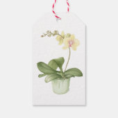 Orchidee in groene pot botanische aquarel cadeaulabel (Achterkant)