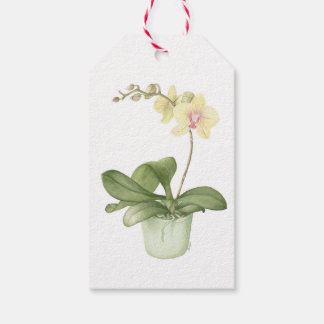 Orchidee in groene pot botanische aquarel cadeaulabel