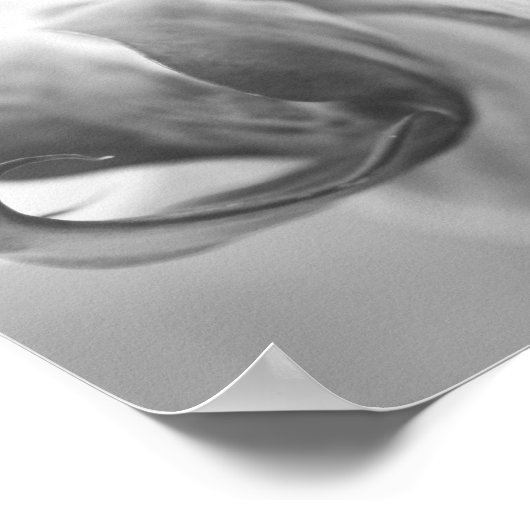 Orchidee in schwarz/weiß poster (Hoek)