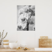 Orchidee in schwarz/weiß poster (Keuken)