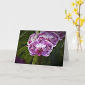 Orchidee, kaart (Gele Bloem)