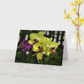 Orchidee, kaart (Gele Bloem)