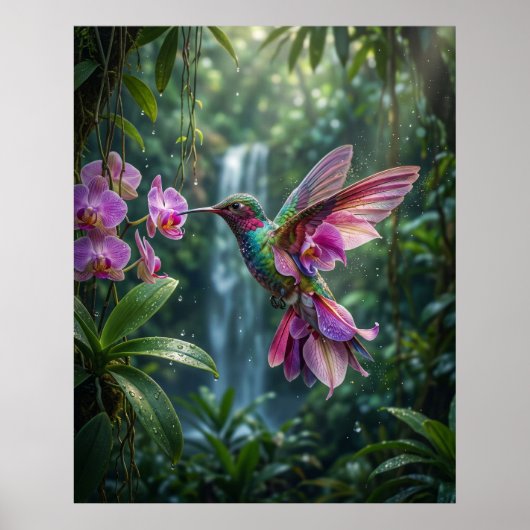 Orchidee Kolibrie Juweel Vlucht Poster (Voorkant)