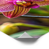 Orchidée kunstmuur poster (Hoek)