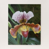 Orchidee Legpuzzel (Verticaal)