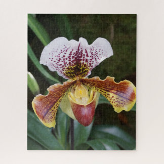 Orchidee Legpuzzel