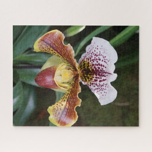 Orchidee Legpuzzel (Horizontaal)