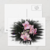 Orchidee Lijst 1 Briefkaart (Voorkant / Achterkant)