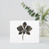 Orchidee Line Drawing – Botanisch Briefkaart (Staand voorkant)
