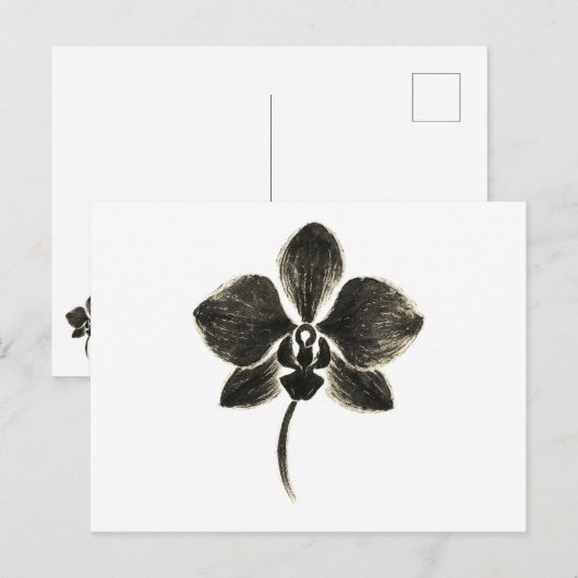 Orchidee Line Drawing – Botanisch Briefkaart (Voorkant / Achterkant)