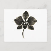 Orchidee Line Drawing – Botanisch Briefkaart (Voorkant)