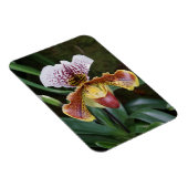 Orchidee Magneet (Rechterzijde)