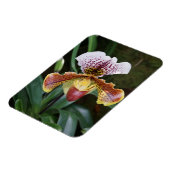 Orchidee Magneet (Linkerzijde)