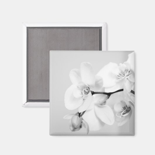 orchidee magneet (Voorkant / Achterkant)