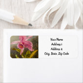 Orchidee met twee kolibries kop etiket (Insitu)