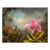 Orchidee met twee kolibries kop foto afdruk (Voorkant)