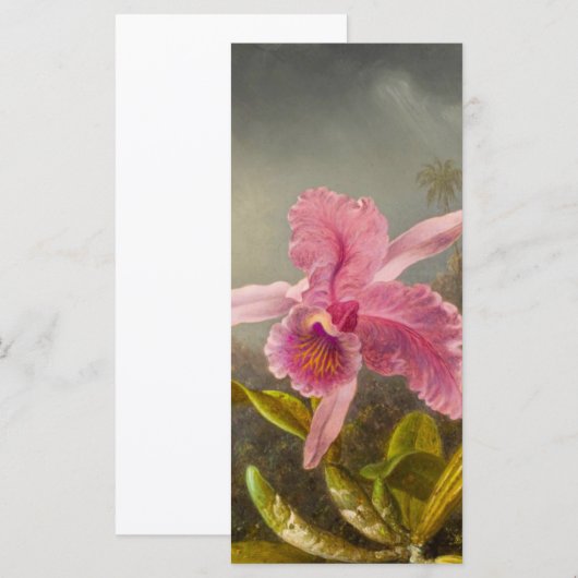 Orchidee met twee kolibries kop Kaart (Voorkant / Achterkant)