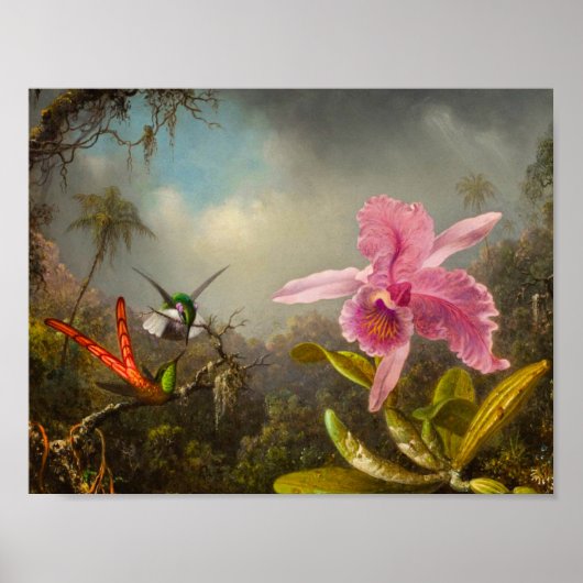 Orchidee met twee kolibries kop poster (Voorkant)