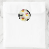 Orchidee - Miltoniopsis - De Drie Amigos Ronde Sticker (Tas)