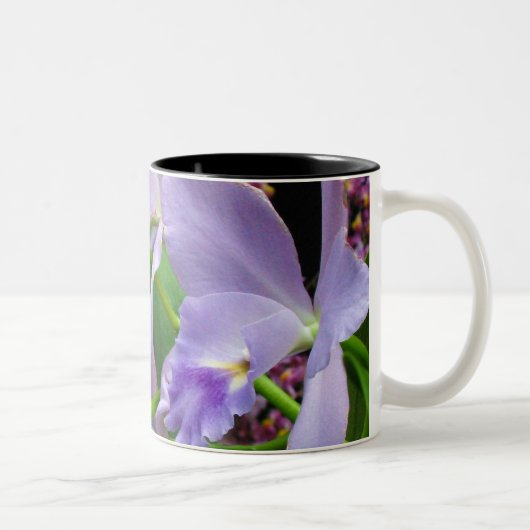 Orchidee Mok 11 (Rechts)