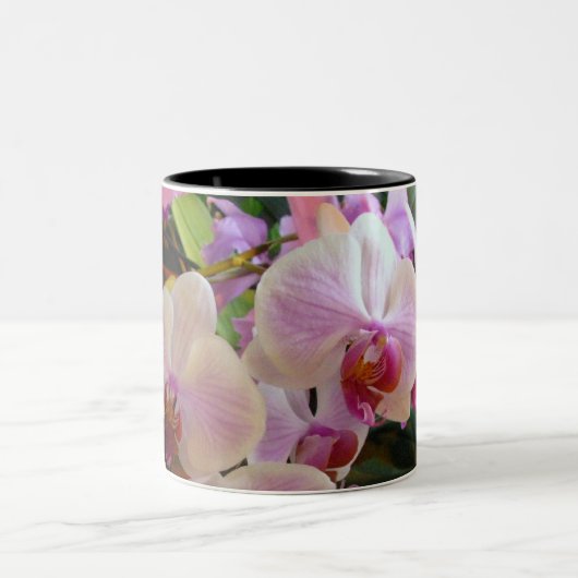 Orchidee Mok 6 (Center)