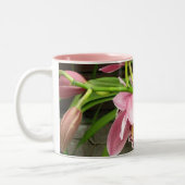 Orchidee Mok 7 (Links)