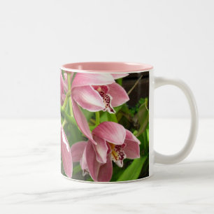 Orchidee Mok 7