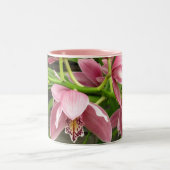 Orchidee Mok 7 (Center)