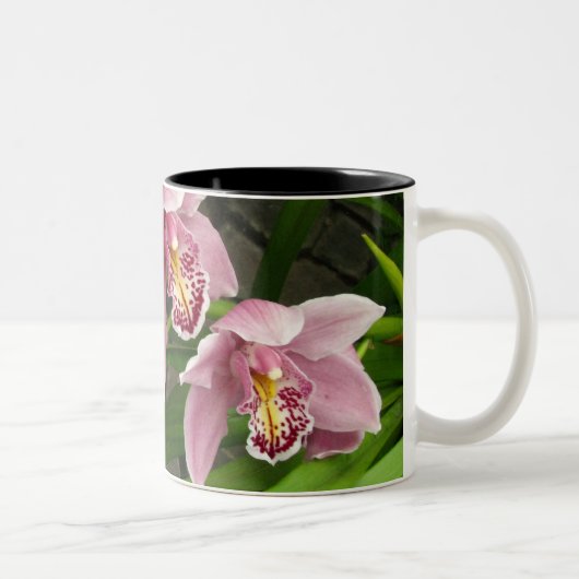 Orchidee Mok 8 (Rechts)