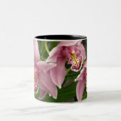 Orchidee Mok 8 (Center)