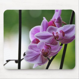 Orchidee-muisblok Muismat