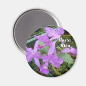 Orchidee — Nationale bloem van Costa Rica Magneet (Voorkant / Achterkant)