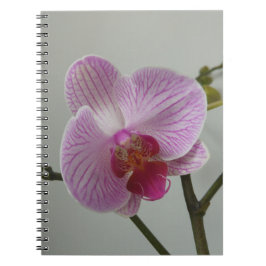 Orchidee notebook notitieboek