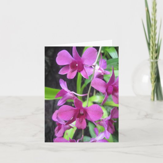 Orchidee notecard kaart (Voorkant)