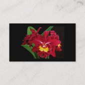 Orchidee Oil op Canvas Visitekaartjes (Achterkant)