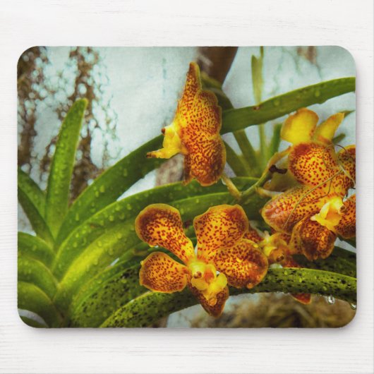 Orchidee - Oncidium - Gerijpt Muismat (Voorkant)