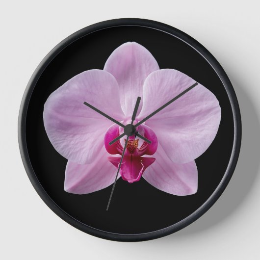 Orchidee op zwarte achtergrond (Voorkant)