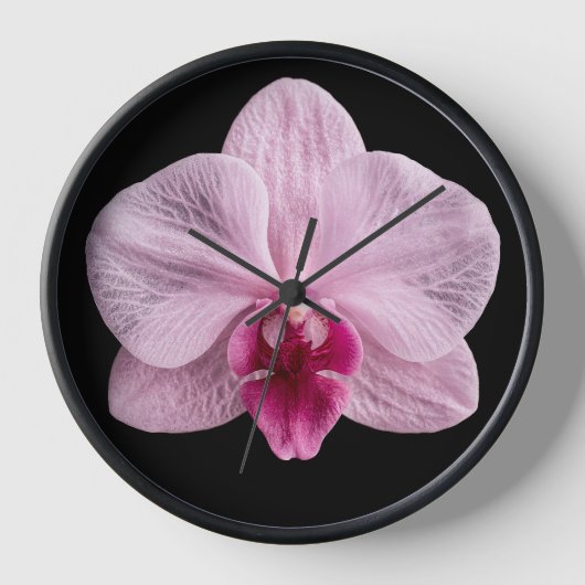 Orchidee op zwarte achtergrond (Voorkant)