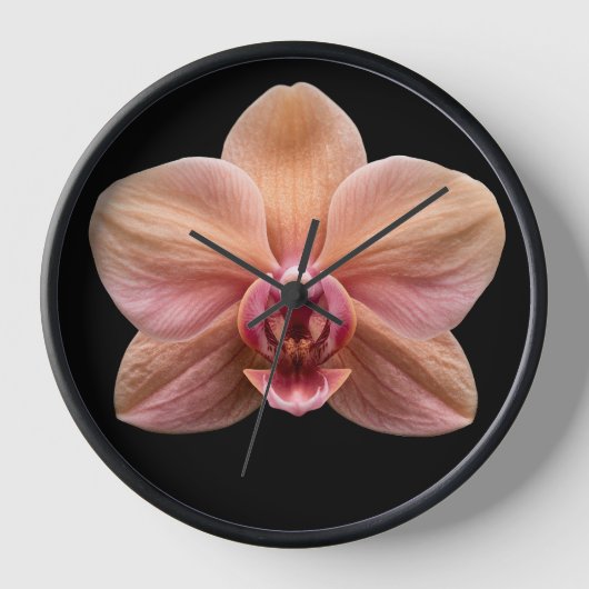 Orchidee op zwarte achtergrond (Voorkant)