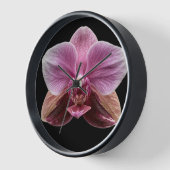 Orchidee op zwarte achtergrond (Hoek)