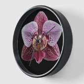 Orchidee op zwarte achtergrond (Hoek)