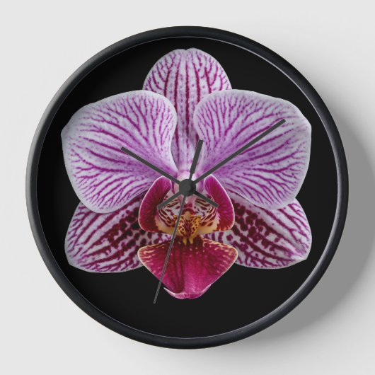 Orchidee op zwarte achtergrond (Voorkant)