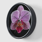 Orchidee op zwarte achtergrond (Hoek)