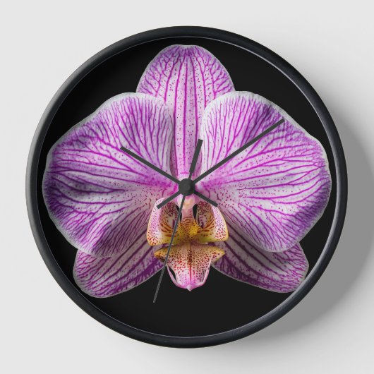 Orchidee op zwarte achtergrond (Voorkant)
